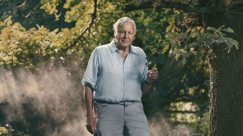 Nieuwe documentaire van David Attenborough maakt intrede op Netflix (TRAILER)