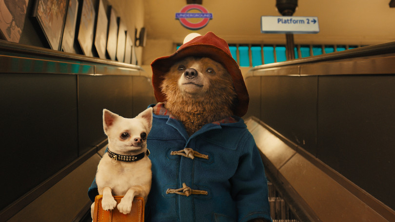 Goed nieuws voor de jongste kijkers: Paddington 3 komt er (bijna) aan!